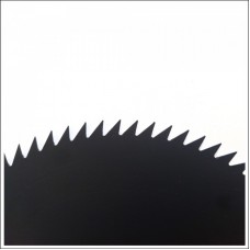 STERN. Cutit cu 80 dinti pentru motocoase 255x1.3x..